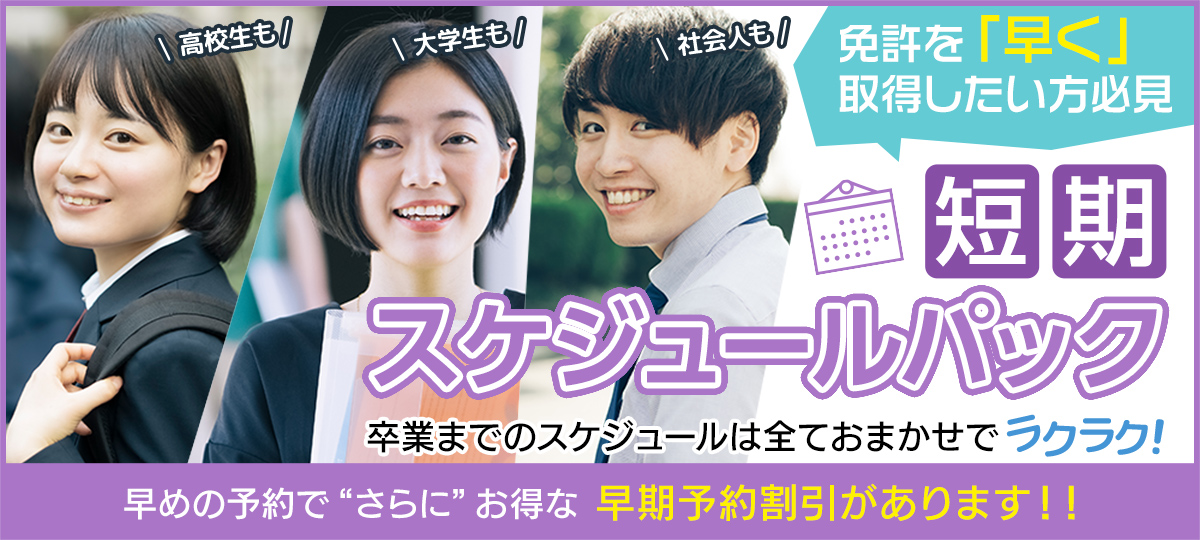 短期スケジュールパック
